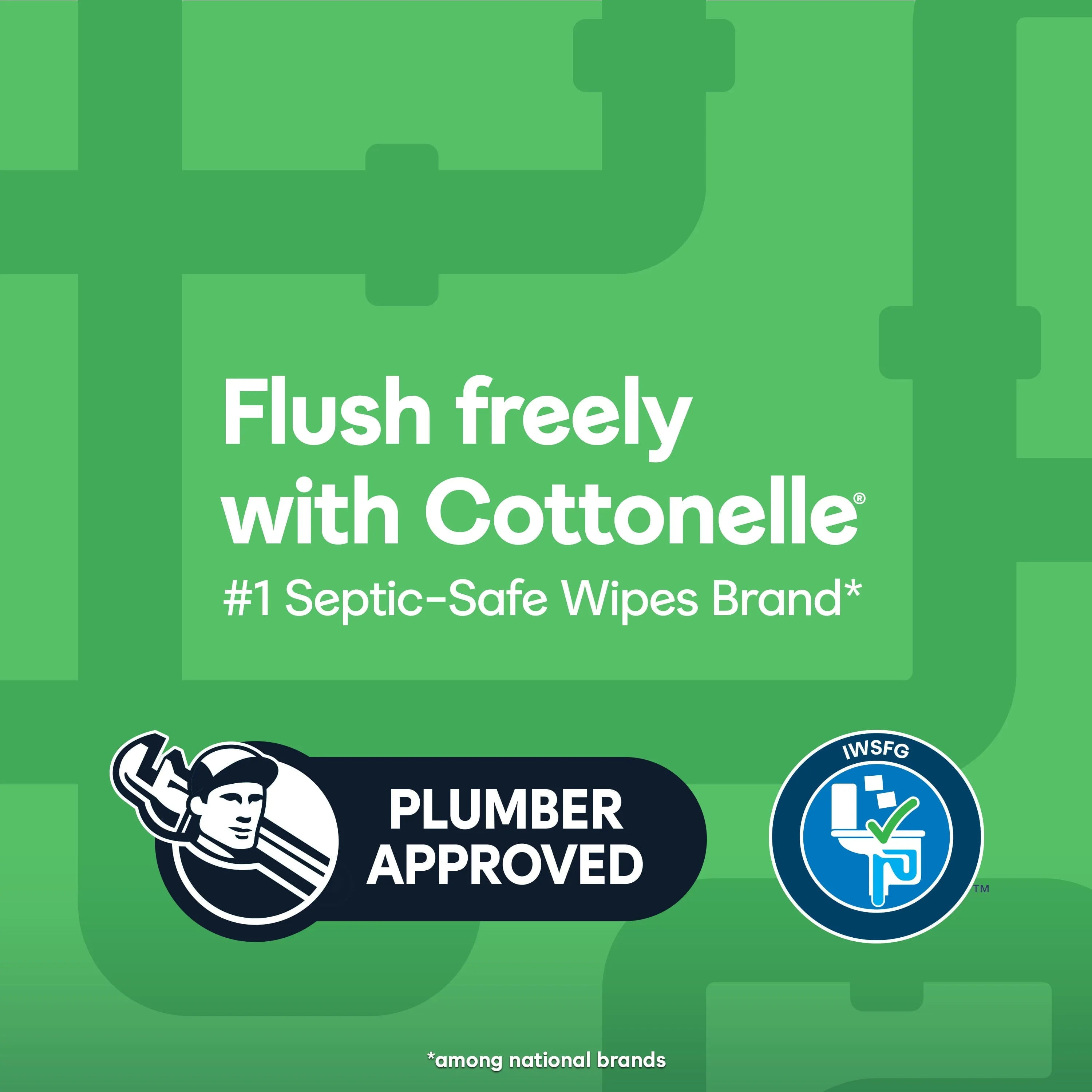 Cottonelle Gentle Plus Flushable Wipes, 2 Flip-Top Packs, 42 Wipes Per Pack (84 Total)