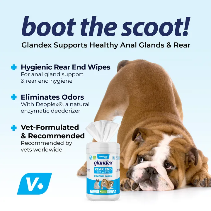 Glandex® Anal Gland Hygienic Pet Wipes