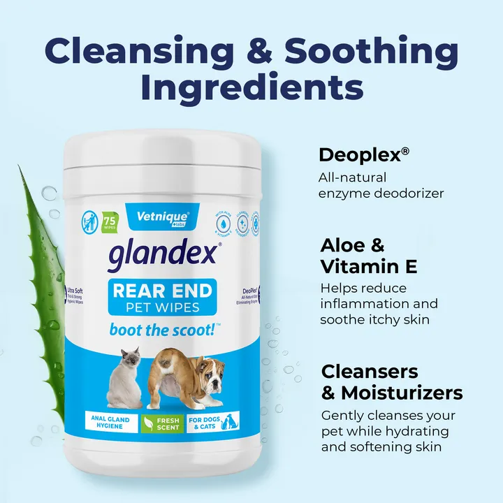 Glandex® Anal Gland Hygienic Pet Wipes