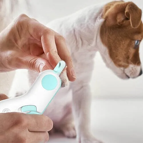 🎁Hot Sale🎁LED Pet Nail Clippers