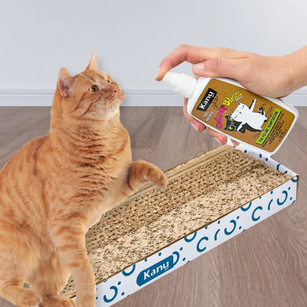 Kanu Pet's Catnip Bliss Spray, Irresistible Catnip Attraction for Cats, Promotes Fun and Calm